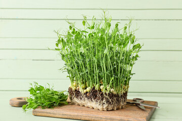 Fresh micro green on color wooden background