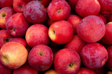 Red apples in a pile in a supermarket or bazaar