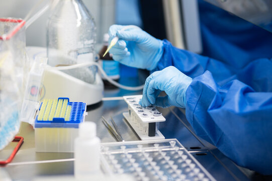 laboratory PCR Testing COVID-19