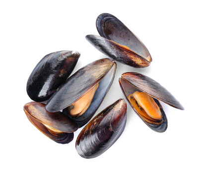 Raw mussels on white background