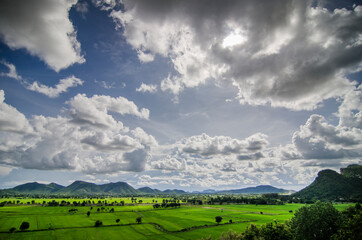 field and blue sky