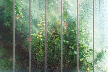 window in the garden with green leaves