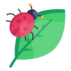 Plant Bug

