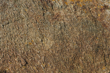 Colorful stone surface. Abstract nature background for design. Graphic element