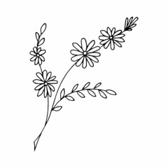 Free hand drawn floral arrangement element in doodle or sketch style. For greeting card, poster, invitation, coloring book page.