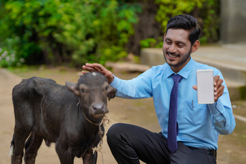 Young indian animal husbandry officer or banker with calf and showing smartphone.