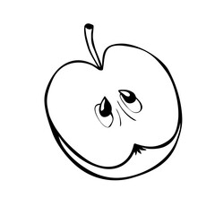 Vector half of an apple. Contour of cut fruit. Outline hand drawn illustration, clipart, design element in doodle style, isolated