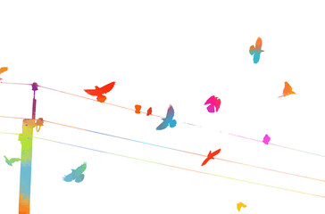 A flock of colorful birds. Vector illustration