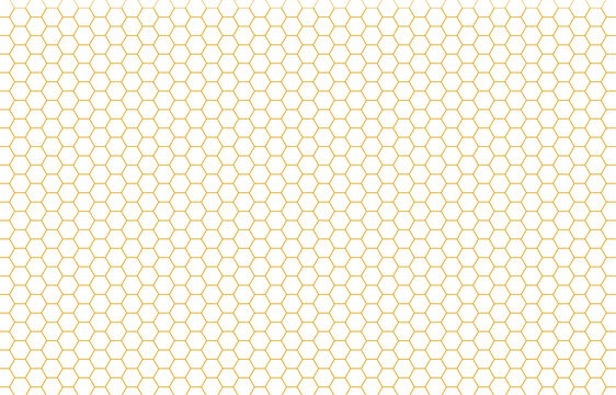 Golden hexagon bee hive honeycomb pattern seamless with white background vector
