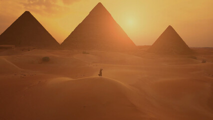 Fototapeta na wymiar Female traveller looks to the silhouette of pyramids at the sunset in the desert. Aerial shot.