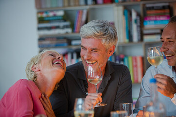 Older friends drinking wine