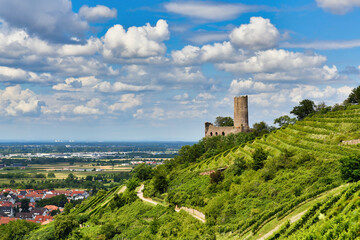View on Odenwald fores hill with German castle ruin and restaurant called Strahlenburg in...