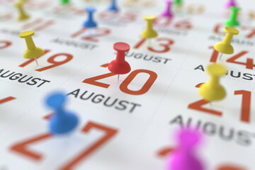 August 20 date and push pin on a calendar, 3D rendering