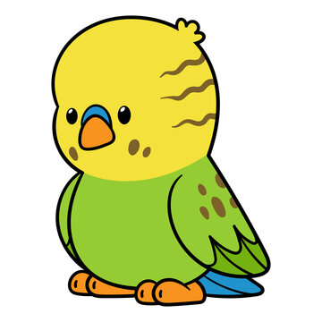 Vector Cute Budgerigar Parakeet Bird Cartoon Illustration