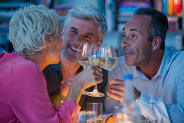 Older friends drinking wine