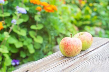 Two fresh apples lie on a wooden surface against the background of blooming flowers.. Healthy food concept