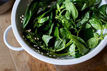 Fresh green basil in the kitchen