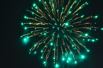 Fototapeta premium Fireworks lighting up the sky on New Years Eve