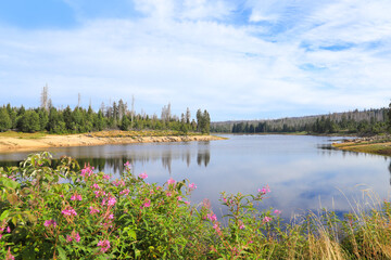 View at the Oderteich dam in Harz mountains - Germany