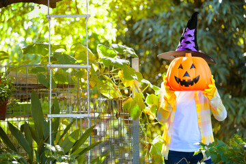 Asian farmer or woman with witch hat holding big pumpkin.Halloween concept.Jack-o-lantern decoration in the outdoor.Spooky and funny pumpkin face on a person.Fall and autumn leaves.Creepy holiday.