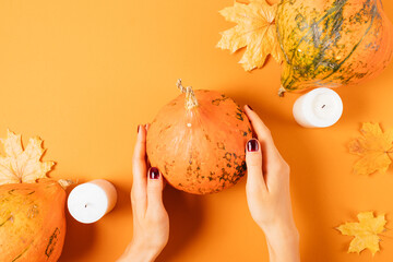 Woman's hands holding small pumpkin - Powered by Adobe