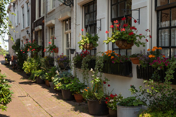 A narrow street with colorful flowering plants in flower pots in the picturesque town of Kampen in the province of Overijssel.
