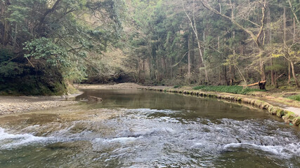 養老渓谷 養老川 千葉県