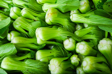 bok choy, pak choi , pok choi organic vegetable