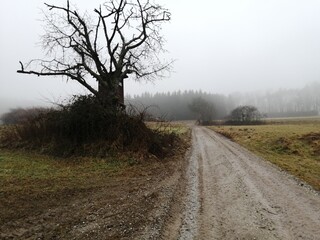 Landschaft Herbst