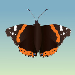 

A vector illustration of a Vanessa atalanta butterfly on a pale green and blue background