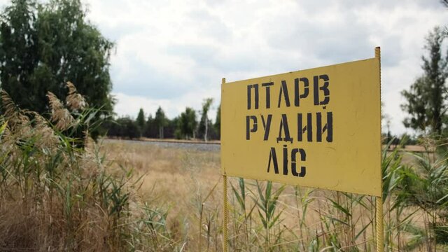 Red Forest sign near forbidden city of Pripyat. Sites for temporary localization of radioactive waste. Radiation hazard in Chernobyl exclusion zone