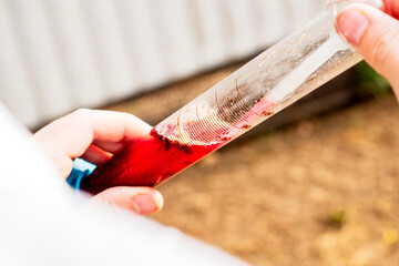 the winemaker measures the sugar content in grape juice dials the juice from a test tube with a pipette