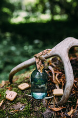 Glass bottles are filled with magic ingredients, potion. Mysterious forest.