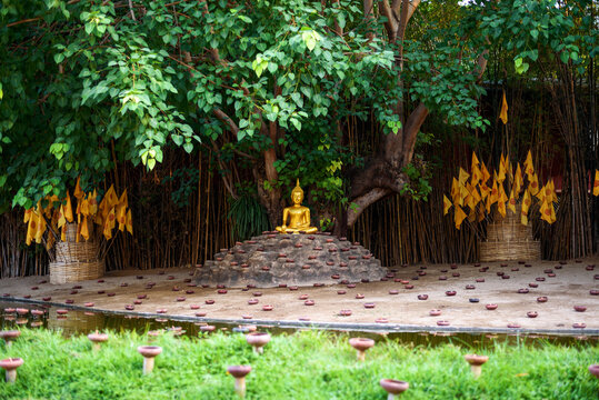  Beautiful Golden Buddha Statue at Wat Pan Tao Temple with candle cup , Chiang mai , Thailand