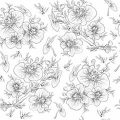 Floral, seamless botanical pattern, orchid flower isolated on white background.  wallpaper. hand-drawn pattern for textiles in a minimalist style. art  drawing for print wrapping paper. illustration