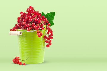 Red currant in a green cup on a green background. Horizontal. Background with copy space.
