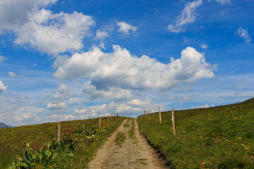 Fototapeta na wymiar Dirt road between green fields with white clouds