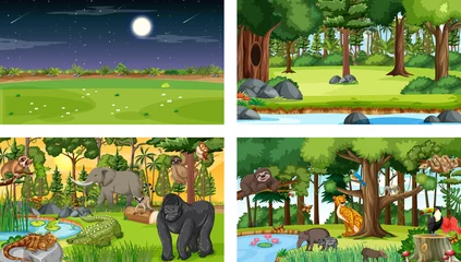 Different nature scenes of forest and rainforest with wild animals © blueringmedia