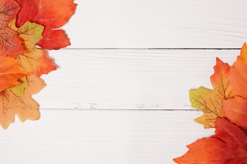 autumn background with colored leaves on white wooden board