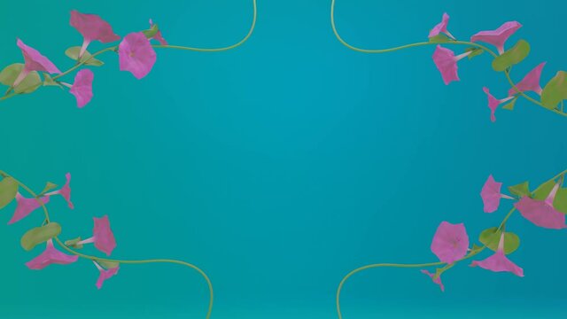 the purple flowers of the morning gloria bloom gradually on a green stem against a blue background. animation. 3d render