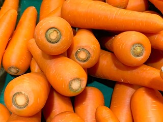 Carrot is a type of herbivore. It has a long appearance. Carrots come in many colors such as yellow, purple, orange, but the most popular nowadays is orange.