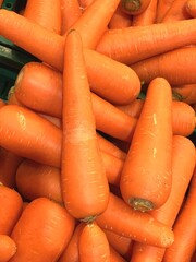 Carrot is a type of herbivore. It has a long appearance. Carrots come in many colors such as yellow, purple, orange, but the most popular nowadays is orange.