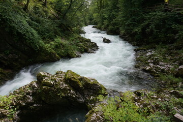 Fototapeta premium Raging waters at Vintgar Gorge in Bled