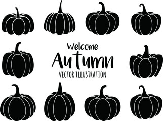 Hand drawn  pumpkins on white background