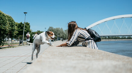 Beautiful young woman enjoying outdoors with her adorable adopted mixed breed dog. Bright sunny day.