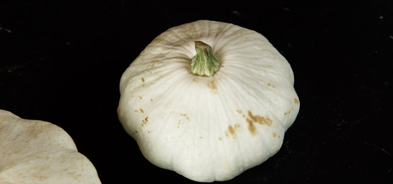 patison pumpkin squashed on dark kitchen table, whole bio raw vegetable brom village gardening