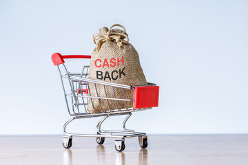 Money bag with cash back in shopping trolley on light grey backgroun with copy space. Refund money...