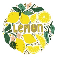 Set with lemons on branches, halves and slices of lemon, flowers and seeds of lemon, bees. doodle lettering lemon. Food background. Flat vegetables on white. Vegan, Grown, Natural
