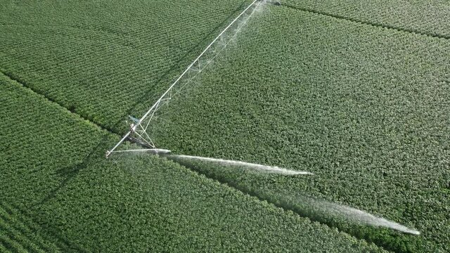 Center pivot irrigation system watering a vast field of crops. Drone video moving left of sprinkler spraying water over plants.
