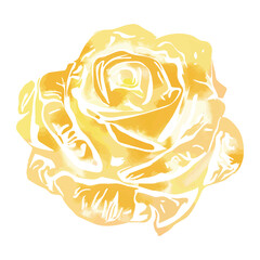 Rose Flower Watercolor Hand drawn doodle shape  Lines.  Trendy Modern Watercolor Spots, drops, Painted style texture, poster with different doodle elements.Urban bright youth textiles sample